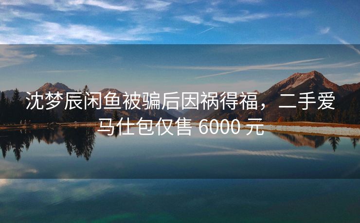 沈梦辰闲鱼被骗后因祸得福，二手爱马仕包仅售 6000 元