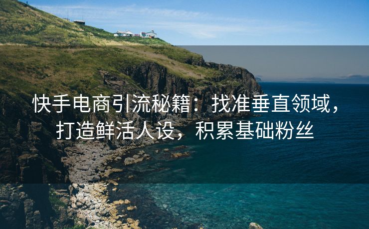 快手电商引流秘籍：找准垂直领域，打造鲜活人设，积累基础粉丝