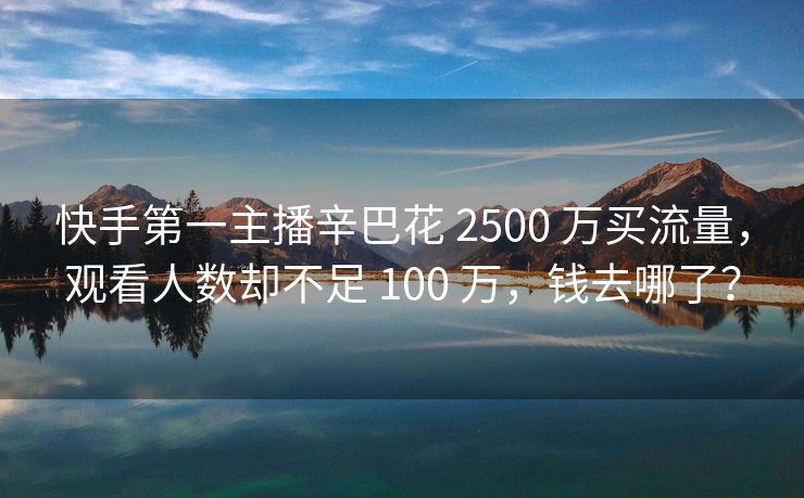 快手第一主播辛巴花 2500 万买流量，观看人数却不足 100 万，钱去哪了？