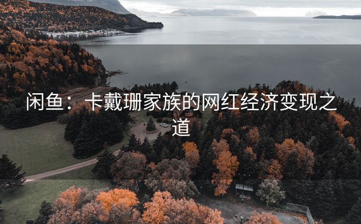 闲鱼：卡戴珊家族的网红经济变现之道