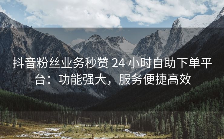 抖音粉丝业务秒赞 24 小时自助下单平台：功能强大，服务便捷高效