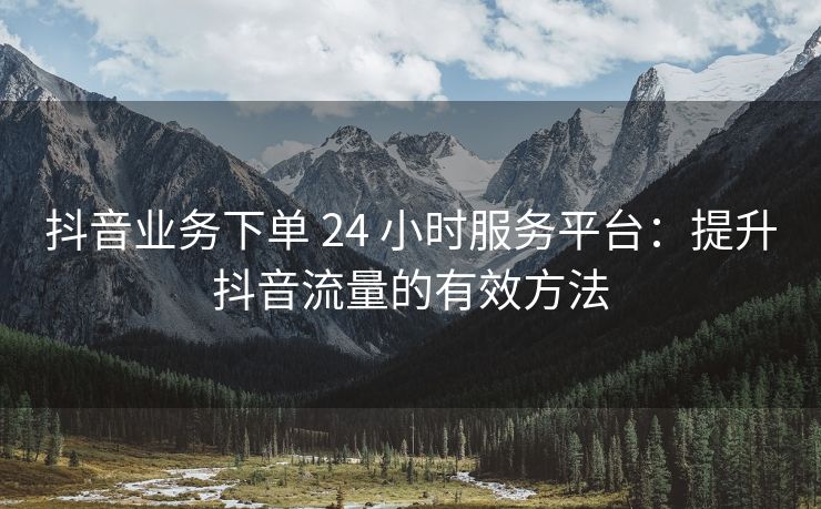 抖音业务下单 24 小时服务平台：提升抖音流量的有效方法