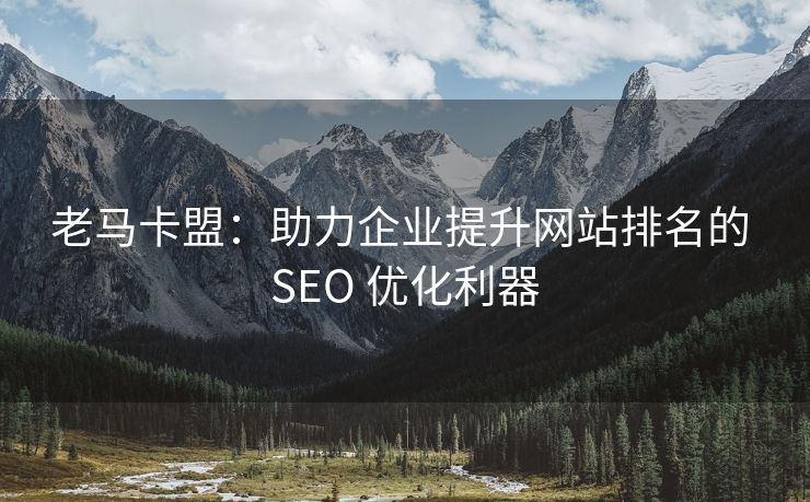 老马卡盟：助力企业提升网站排名的 SEO 优化利器