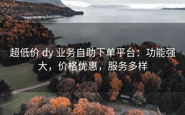 超低价 dy 业务自助下单平台：功能强大，价格优惠，服务多样