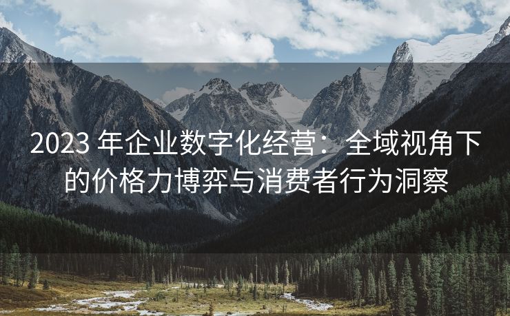 2023 年企业数字化经营：全域视角下的价格力博弈与消费者行为洞察