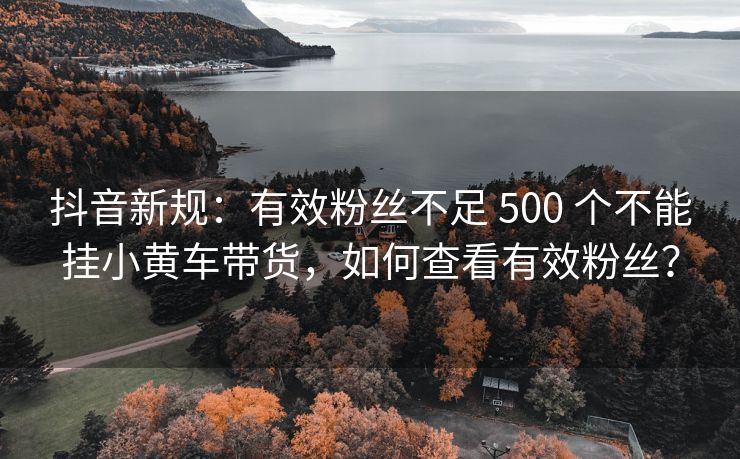 抖音新规：有效粉丝不足 500 个不能挂小黄车带货，如何查看有效粉丝？