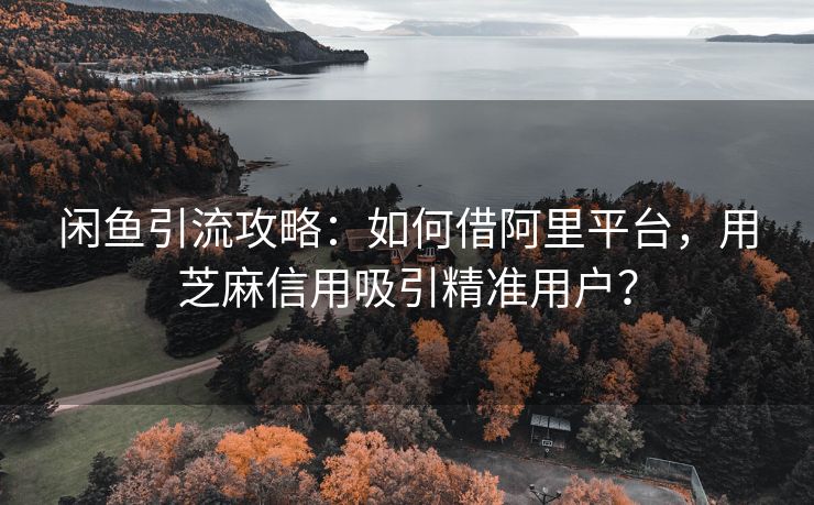 闲鱼引流攻略：如何借阿里平台，用芝麻信用吸引精准用户？