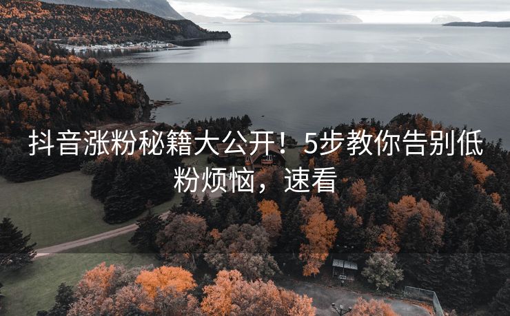 抖音涨粉秘籍大公开！5步教你告别低粉烦恼，速看