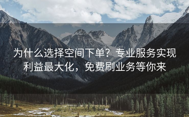 为什么选择空间下单？专业服务实现利益最大化，免费刷业务等你来