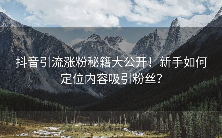 抖音引流涨粉秘籍大公开！新手如何定位内容吸引粉丝？