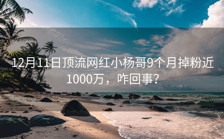 12月11日顶流网红小杨哥9个月掉粉近1000万，咋回事？