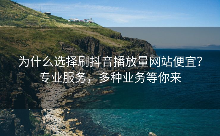 为什么选择刷抖音播放量网站便宜？专业服务，多种业务等你来