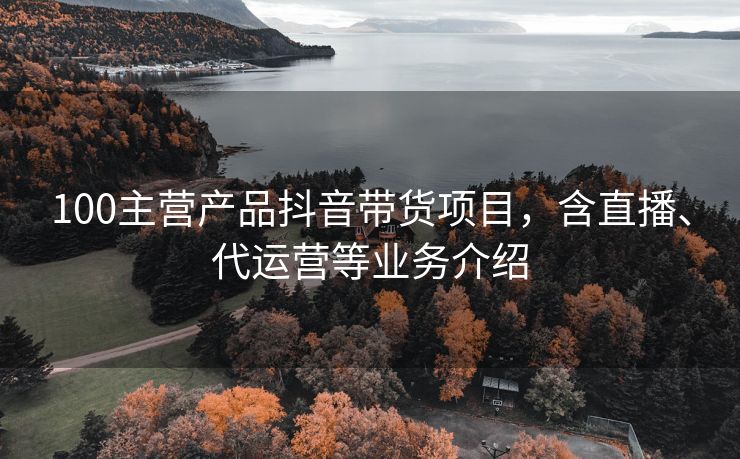 100主营产品抖音带货项目，含直播、代运营等业务介绍