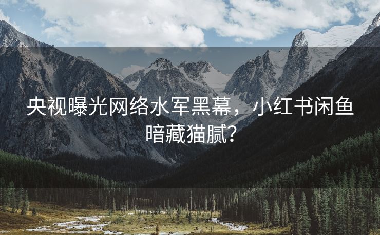 央视曝光网络水军黑幕，小红书闲鱼暗藏猫腻？