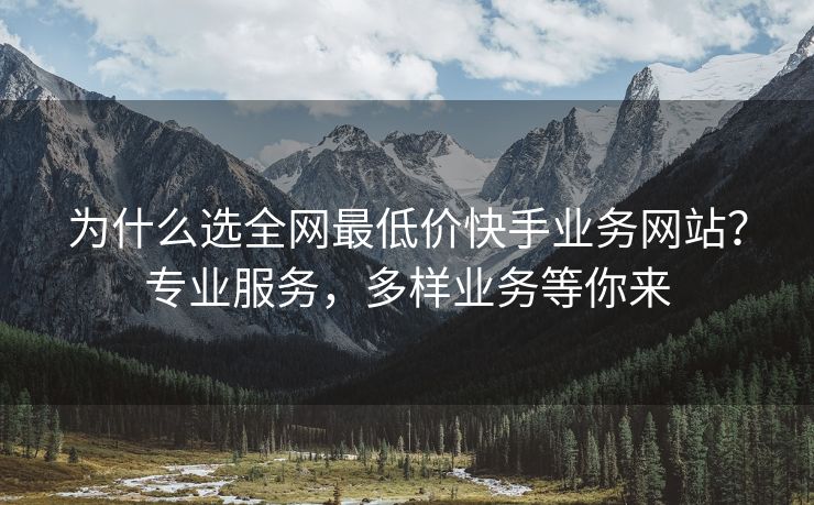为什么选全网最低价快手业务网站？专业服务，多样业务等你来
