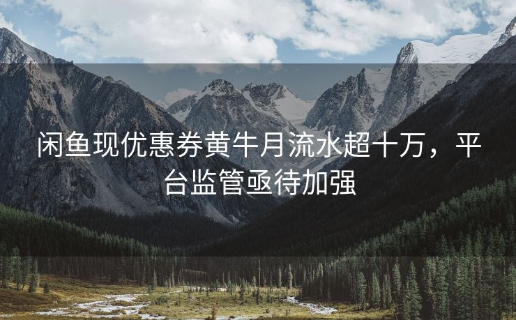 闲鱼现优惠券黄牛月流水超十万，平台监管亟待加强