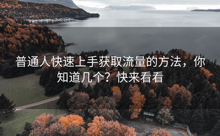 普通人快速上手获取流量的方法，你知道几个？快来看看