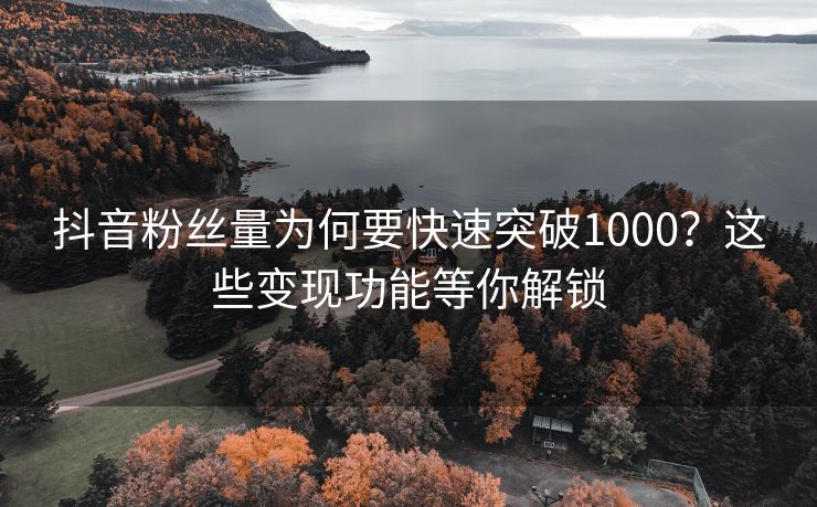 抖音粉丝量为何要快速突破1000？这些变现功能等你解锁