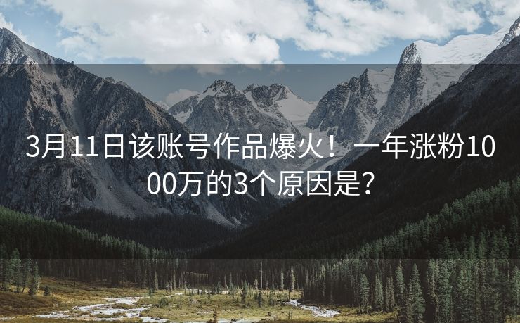 3月11日该账号作品爆火！一年涨粉1000万的3个原因是？