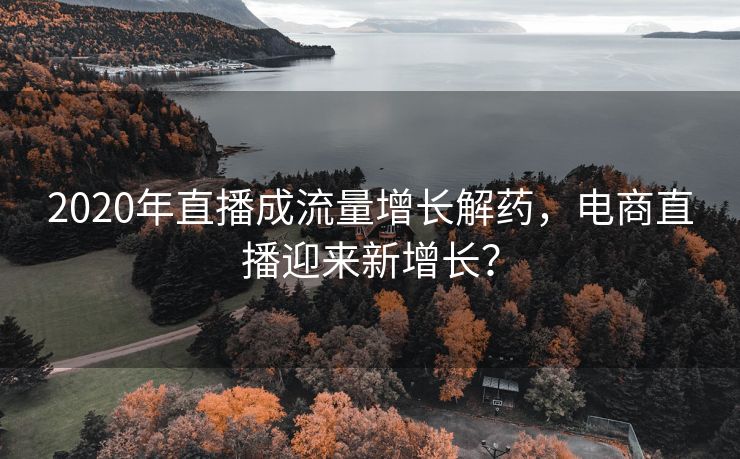 2020年直播成流量增长解药，电商直播迎来新增长？