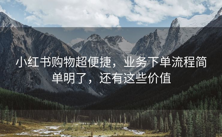 小红书购物超便捷，业务下单流程简单明了，还有这些价值