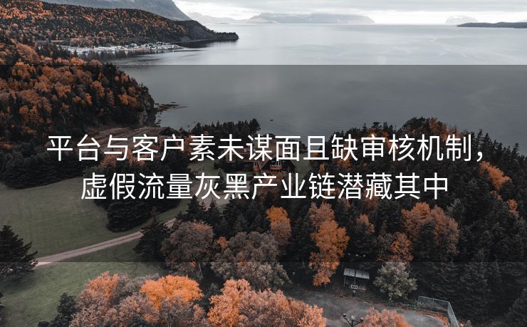 平台与客户素未谋面且缺审核机制，虚假流量灰黑产业链潜藏其中
