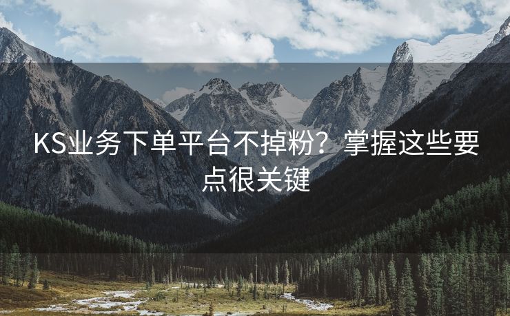 KS业务下单平台不掉粉？掌握这些要点很关键