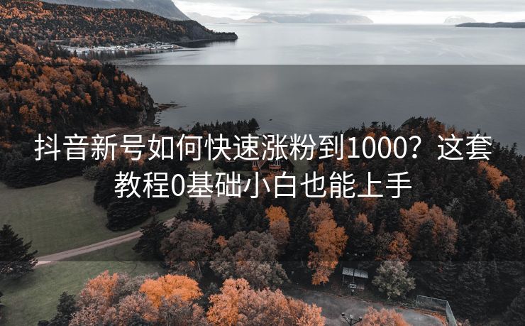 抖音新号如何快速涨粉到1000？这套教程0基础小白也能上手