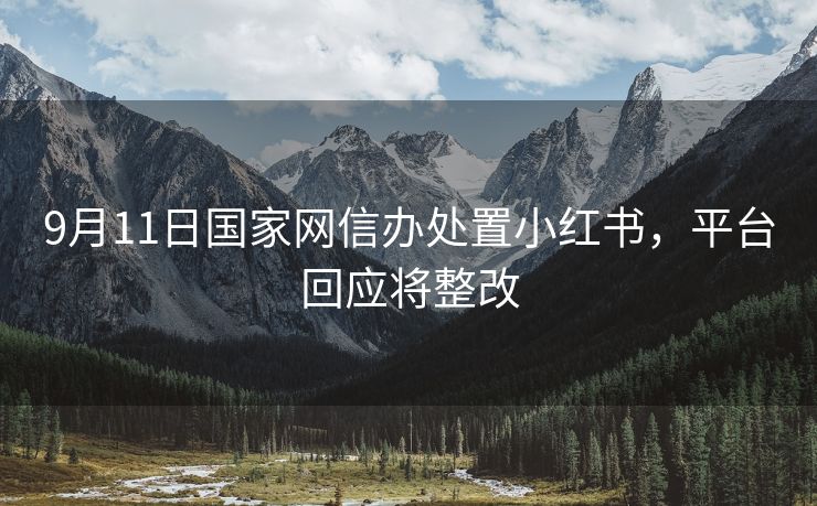9月11日国家网信办处置小红书，平台回应将整改