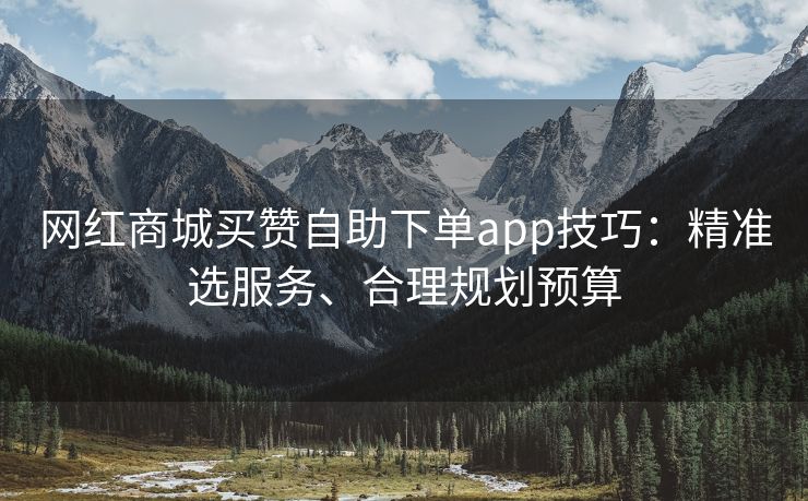 网红商城买赞自助下单app技巧：精准选服务、合理规划预算