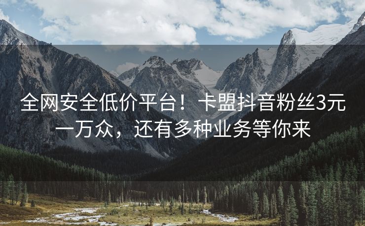 全网安全低价平台！卡盟抖音粉丝3元一万众，还有多种业务等你来
