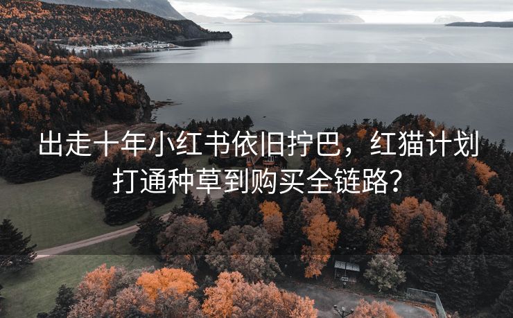 出走十年小红书依旧拧巴，红猫计划打通种草到购买全链路？