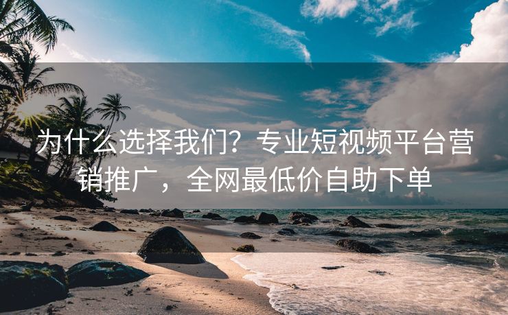 为什么选择我们？专业短视频平台营销推广，全网最低价自助下单