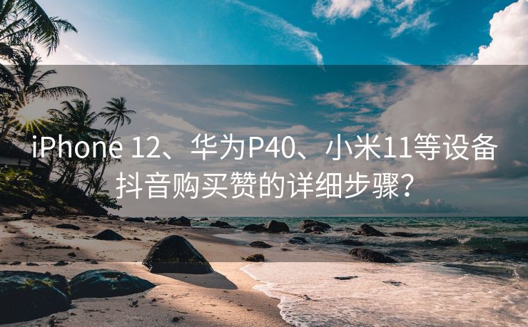 iPhone 12、华为P40、小米11等设备抖音购买赞的详细步骤？