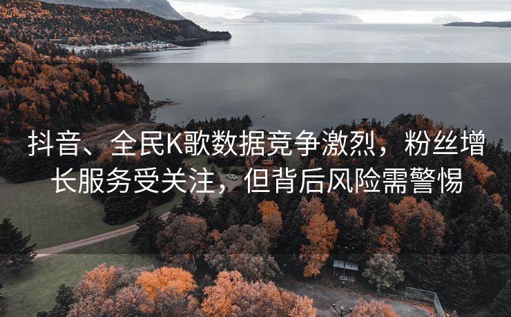 抖音、全民K歌数据竞争激烈，粉丝增长服务受关注，但背后风险需警惕