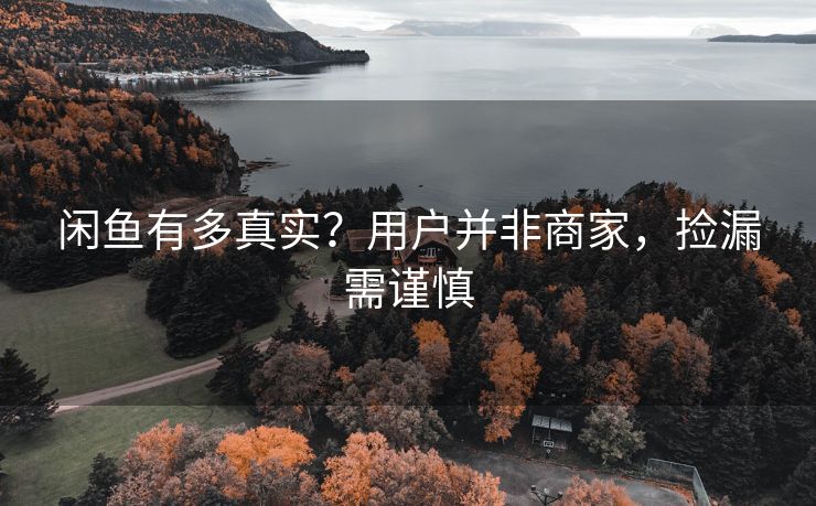 闲鱼有多真实？用户并非商家，捡漏需谨慎