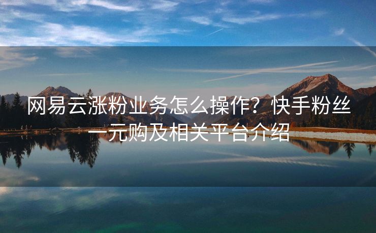 网易云涨粉业务怎么操作？快手粉丝一元购及相关平台介绍