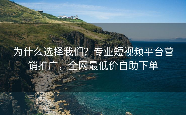 为什么选择我们？专业短视频平台营销推广，全网最低价自助下单