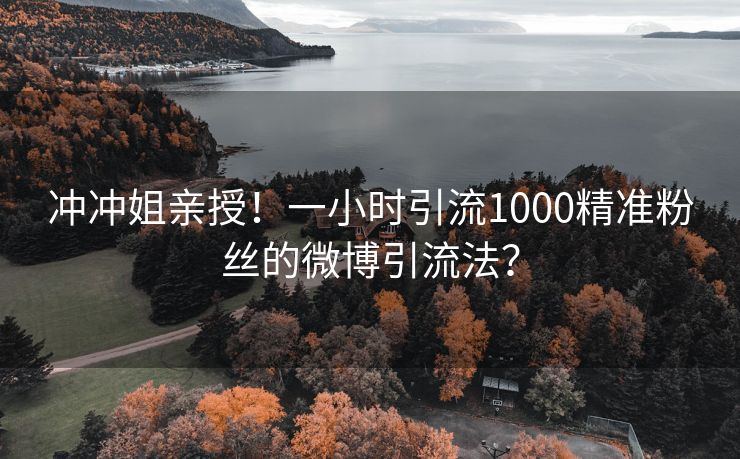 冲冲姐亲授！一小时引流1000精准粉丝的微博引流法？