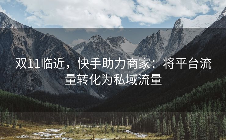 双11临近，快手助力商家：将平台流量转化为私域流量