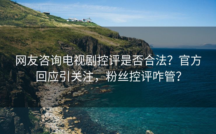 网友咨询电视剧控评是否合法？官方回应引关注，粉丝控评咋管？