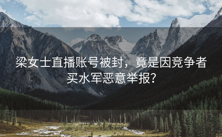 梁女士直播账号被封，竟是因竞争者买水军恶意举报？