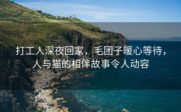 打工人深夜回家，毛团子暖心等待，人与猫的相伴故事令人动容