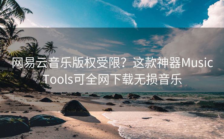 网易云音乐版权受限？这款神器MusicTools可全网下载无损音乐