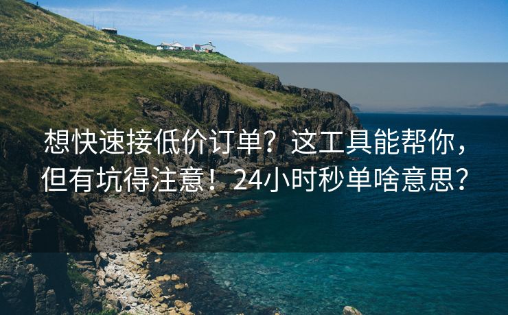 想快速接低价订单？这工具能帮你，但有坑得注意！24小时秒单啥意思？