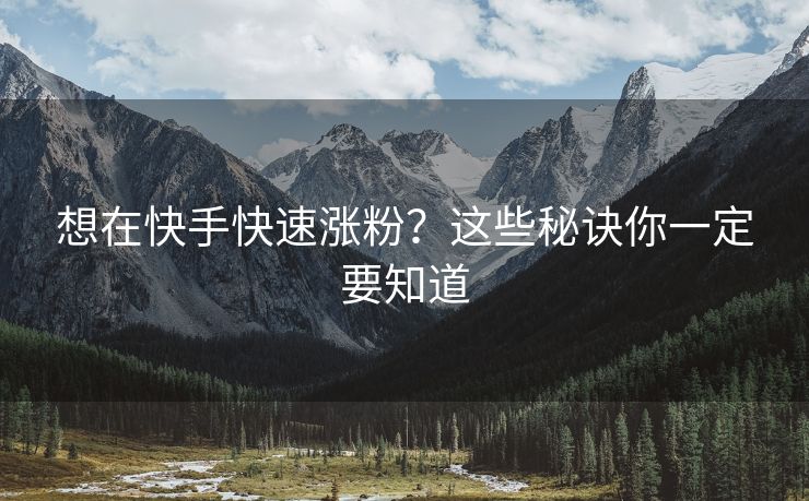 想在快手快速涨粉？这些秘诀你一定要知道