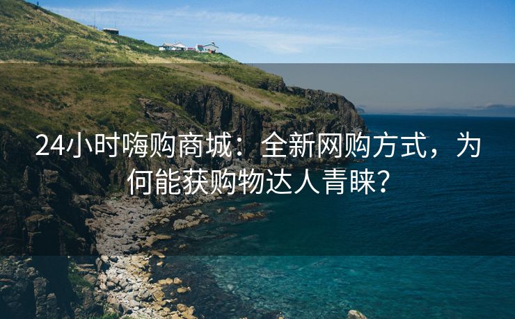 24小时嗨购商城：全新网购方式，为何能获购物达人青睐？