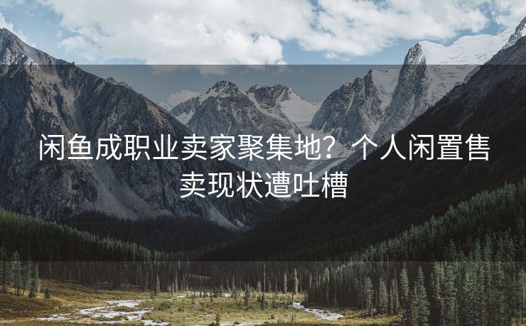 闲鱼成职业卖家聚集地？个人闲置售卖现状遭吐槽
