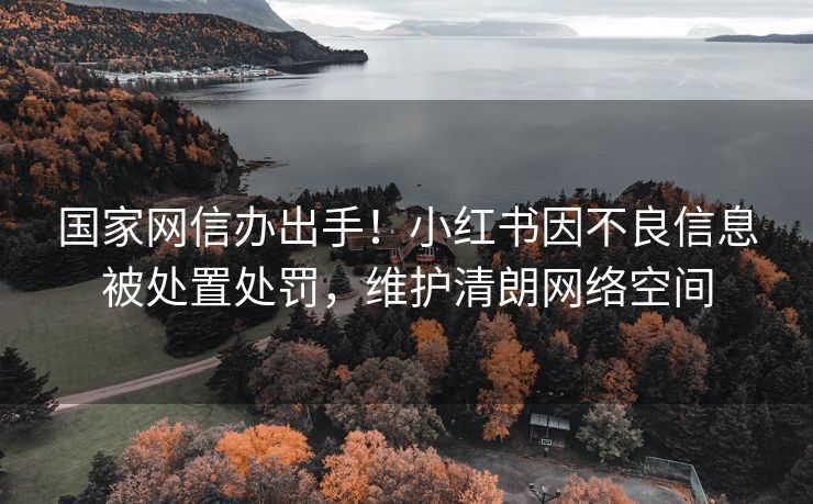 国家网信办出手！小红书因不良信息被处置处罚，维护清朗网络空间
