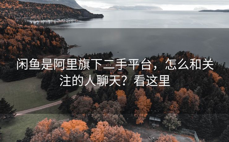 闲鱼是阿里旗下二手平台，怎么和关注的人聊天？看这里